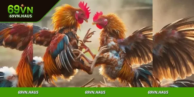 Cơ hội nhận thưởng khủng, từ tiền mặt đến quà tặng độc quyền